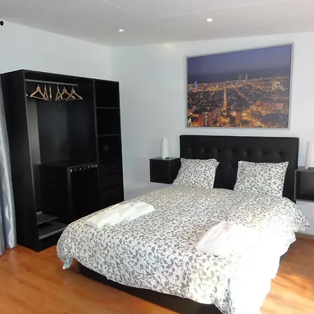 巴塞罗那公寓 - 伊比利亚 公寓 *